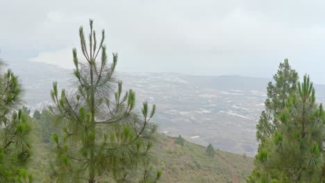Paisaje-Natural-Salvaje-De-Tenerife-En-El-Norte-De-Tenerife,-Panorámica,-Día-Nublado