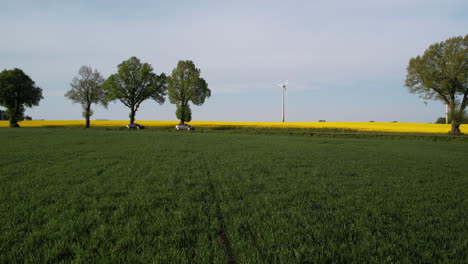 Autos-Drive-on-Countryside-Road-Between-Green-Wheat-and-Yellow-Blooming-Rape-Fields-in-Spring-with-a-View-of-Wind-Turbine-Blades-Rotating-in-Background---Slow-Aerial-low-angle-push-in