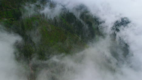 Drohne-Dringt-In-Wolken-Ein,-Die-Waldbäume-In-Nepal-Bedecken