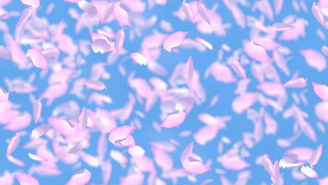 Kirschblütenblätter-Windiger-Hintergrund-Looptile