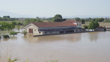 Schafe-Weit-Haus-Im-Wasser-Getaucht-Griechenland-Überschwemmungen-Thessalien-September-2023