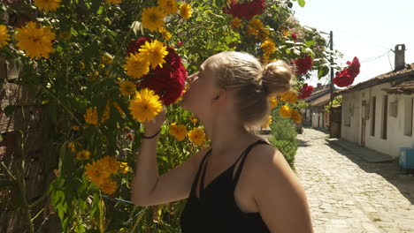 Young-girl-stops-to-smell-fragrant-climbing-red-roses-and-yellow-flowers