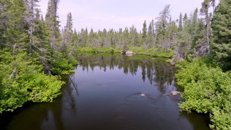 Slowly-Moving-Aerial-View-Captures-Stunning-Reflections-in-Remote-Stream-Surrounded-by-Trees-in-Labrador,-Canada