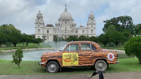 Static-shot-of-yellow-taxi-with-black-stripes,-advertising-tiger-conservation-while-standing-in-front-of-Victoria-Memorial-in-Kolkata,-India-during-evening-time