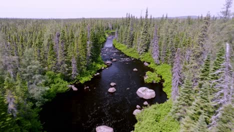 Aerial-Journey-Along-a-Beautiful-Stream-in-Remote-Canada