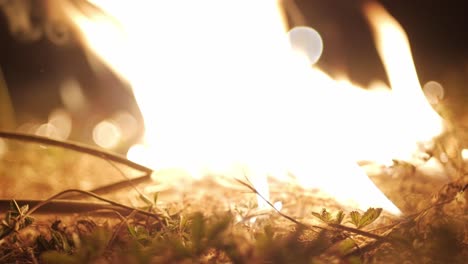 Anzünden-Von-Feuer-Und-Brennendem-Gras-Bei-Nacht,-Feuersbrunst-Und-Großbrand-Mit-Brennbarem-Material
