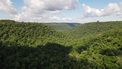 Ein-Tropischer-Dschungel-In-Südamerika