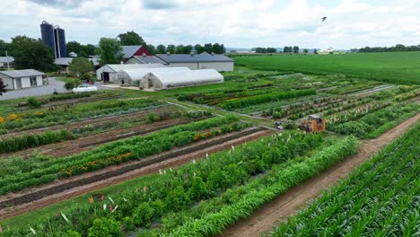 Amish-farm-with-large-garden