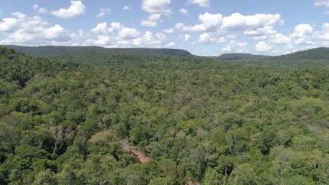 Bird's-eye-view-of-the-Misiones-rainforest-in-Argentina