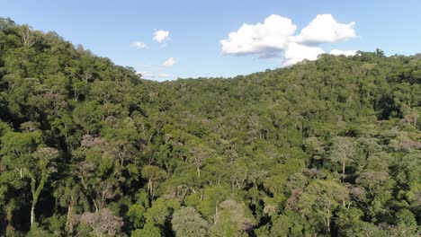A-bird's-eye-view-of-the-Misiones-rainforest-in-Argentina,-capturing-the-lush-green-canopy-and-the-natural-beauty-of-this-vibrant-and-biodiverse-ecosystem