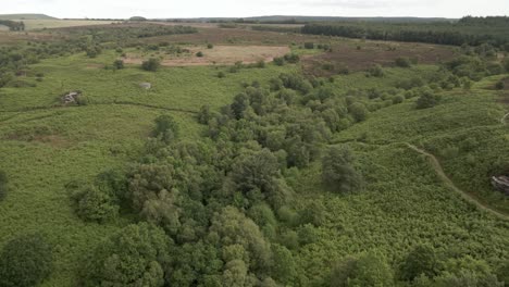 4k-Aerial-footage-of-Dalby-Forest,-North-Yorkshire-moors