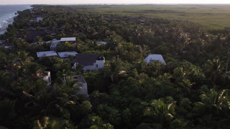 Aerial-top-down-shot-of-palm-trees-with-cabins-and-huts-in-a-white-sand-beach,-crystal-clear-blue-ocean-in-Tulum,-Mexico