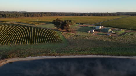 Aerial-panorama-view-of-farm-house-with-private-vineyard-field-at-sunset-time-in-Australian-countryside