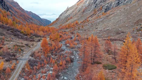 Remote-alpine-Aosta-Valley-with-vivid-fall-colors-of-trees,-Italy