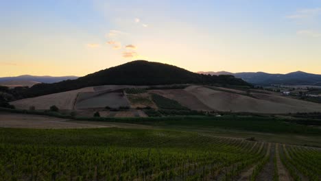 Aerial-landscape-view-over-Tuscany-hills-with-many-vineyard-rows,-in-the-italian-countryside,-at-dusk