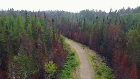 Aerial-gliding-through-fire-damaged-woodland-in-Massey,-Ontario-Canada
