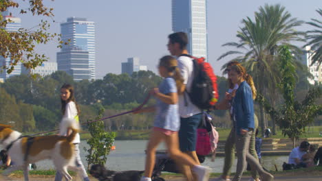 Crowds-of-visitors-walk-at-Yarkon-Park-,-the-park-is-in-the-center-of-Tel-Aviv-and-it-has-playgrounds-for-children