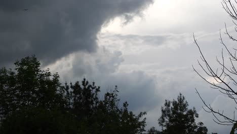 Dunkle-Gewitterwolken-Ziehen-Langsam-Im-Hintergrund-Und-Äste-Auf-Baumwipfeln-Wiegen-Sich-Im-Wind