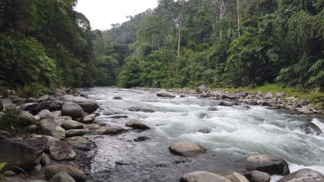 Tiro-Inclinado-De-Un-Río-En-Una-Selva-Tropical-Salvaje-Con-Una-Corriente-De-Agua-Dulce