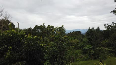 Panning-and-tilting-shot-of-a-view-of-a-rainforest-revealing-the-mountains-far-behind-the-trees
