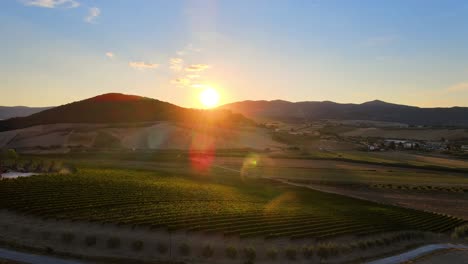 Aerial-landscape-view-of-Tuscany-hills-with-many-vineyard-rows,-in-the-italian-countryside,-at-sunrise