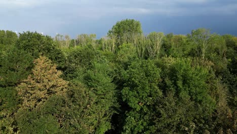 Landschaftsumgebung-Mit-Bäumen,-See,-Straße,-Windmühlen-Und-Rauch