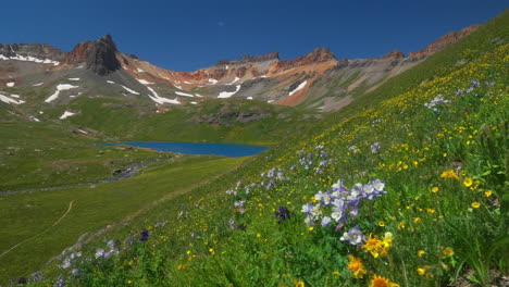 Cinematic-heavenly-paradise-Ice-Lake-Basin-Trail-Alpine-wilderness-Columbine-purple-state-wildflowers-yellow-wind-stunning-Colorado-Silverton-Telluride-Rocky-Mountain-range-snow-summer-beautiful-still