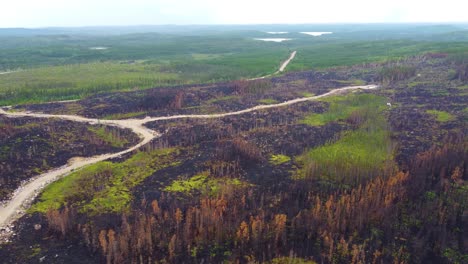 Bird's-eye-view-of-the-massive-damage-caused-by-the-forest-fires-in-Lebel-sur-Quévillon,-Quebec