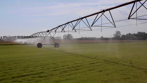 Large-farming-equipment-sprinklers-watering-early-morning-sunrise-on-commercial-farm