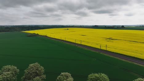 Rapeseed-field-in-Swedish-countryside-with-train-riding-through-scenic-nature