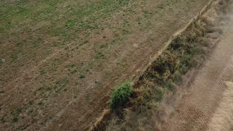 A-cinematic-4K-drone-shot-of-a-combine-harvester-harvesting-a-corn-field-in-France,-showcasing-agriculture-with-an-epic-view-and-dramatic-dust