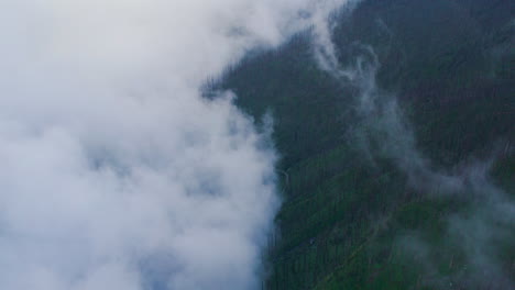 Waldnebel-In-Der-Nepalesischen-Monsunzeit-Mit-Wolken-Auf-Kahlen-Bäumen