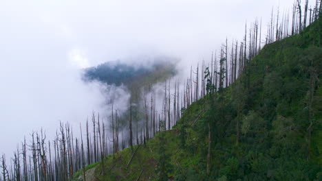 Cinematic-drone-shot-Nepal's-hilly-cliff-with-trees,-clouds,-and-fog