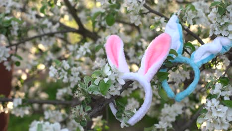 rabbit-ears-on-flowering-trees,-Easter