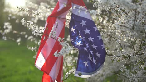 Flagge-Von-Amerika-Auf-Dem-Hintergrund-Eines-Blühenden-Baumes.-Politik,-Erlernen-Einer-Fremdsprache.-4.-Juli.-Gedenktag