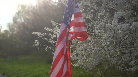Banderas-Americanas-En-Flores-El-4-De-Julio