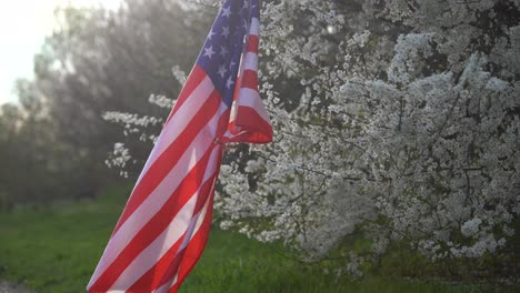 Flagge-Von-Amerika-Auf-Dem-Hintergrund-Eines-Blühenden-Baumes.-Politik,-Erlernen-Einer-Fremdsprache.-4.-Juli.-Gedenktag