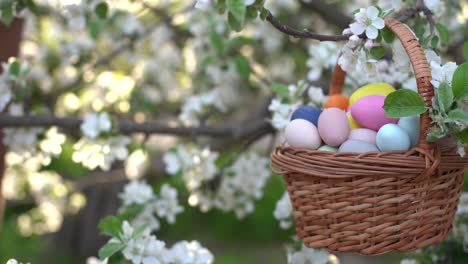 Huevos-De-Pascua-Pintados-En-Una-Canasta-Sobre-Hierba.-Decoración-Tradicional-A-La-Luz-Del-Sol