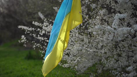 Ukraine-Flagge-Gelb-Und-Blau-In-Einem-Blumengarten