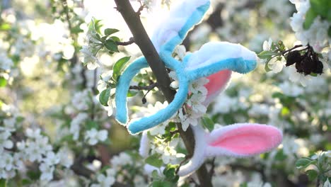 Orejas-De-Conejo-En-árboles-En-Flor,-Pascua
