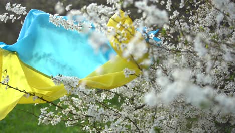 Bandera-De-Ucrania-Amarilla-Y-Azul-En-Un-Jardín-De-Flores.