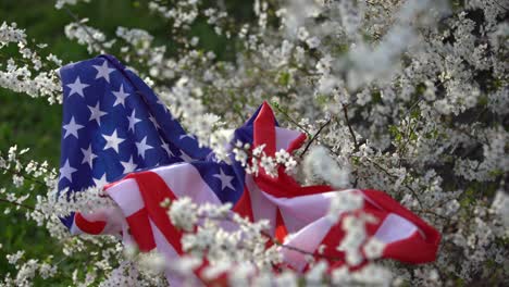 Amerikanische-Flaggen-In-Blumen-Am-Vierten-Juli