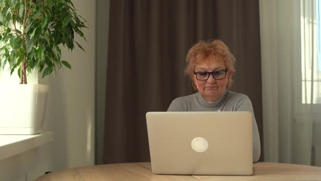 Videoanruf.-Gut-Aussehende-ältere-Dame,-Die-Einen-Videoanruf-Auf-Dem-Laptop-Führt