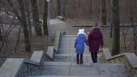 Menschen-Gehen-Im-Januar-Durch-Den-Düsteren-Park