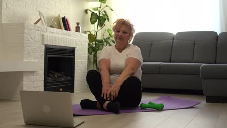 Häusliche-Ausbildung.-Aktive-ältere-Frau,-Die-Zu-Hause-Vor-Dem-Laptop-Übungen-Macht,-Freier-Platz