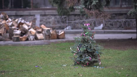 Weihnachtsbaum-Im-Garten-Geschmückt.