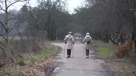 La-Gente-Camina-Por-El-Parque-Sombrío-En-Enero.