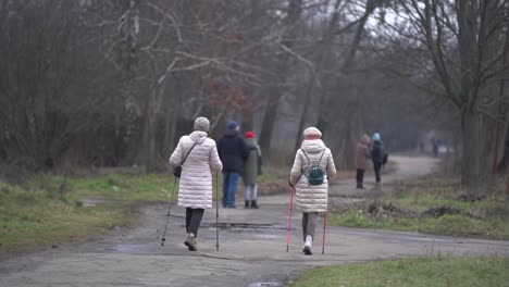 people-walk-gloomy-park-january