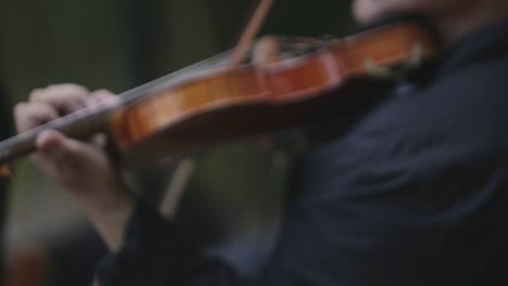 Anonymer-Musiker,-Der-Geige-Spielt