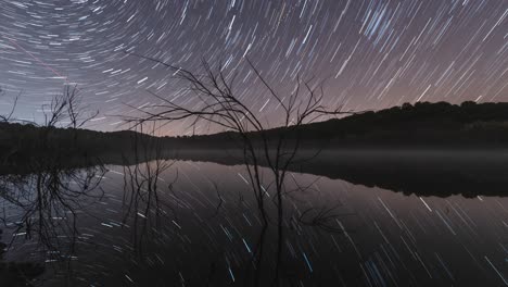 Dry-branches-in-a-lake-under-the-starry-sky